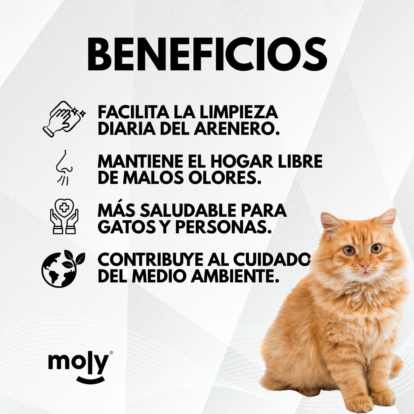 MOLY x3 Arena de Gatos Tofu de Maiz y Bambu 8,4 KG 11,1 L | Arena Biodegradable y Aglomerante Alta Absorcion con Aroma de Talco | Control Total de Olores | Sin Polvo | Lecho Mineral - 4