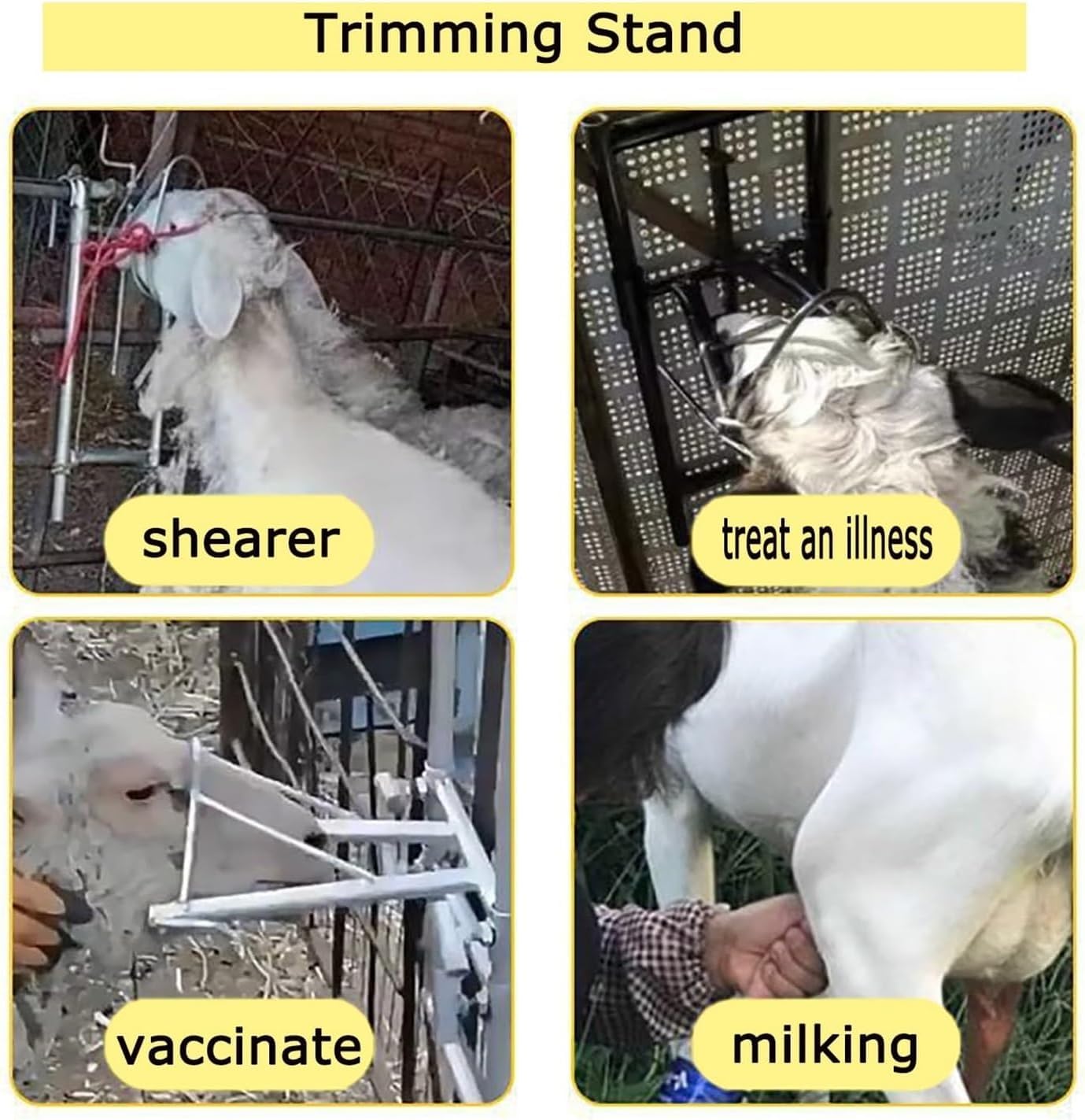NILoykg& Ziege Stand Kopf Stück, verstellbare Ziege & Schaf Stand, Vieh Aluminium Höhenverstellbar Trimmen Stand Schafe Einfache Scheren Stand für Horned Farm Tiere