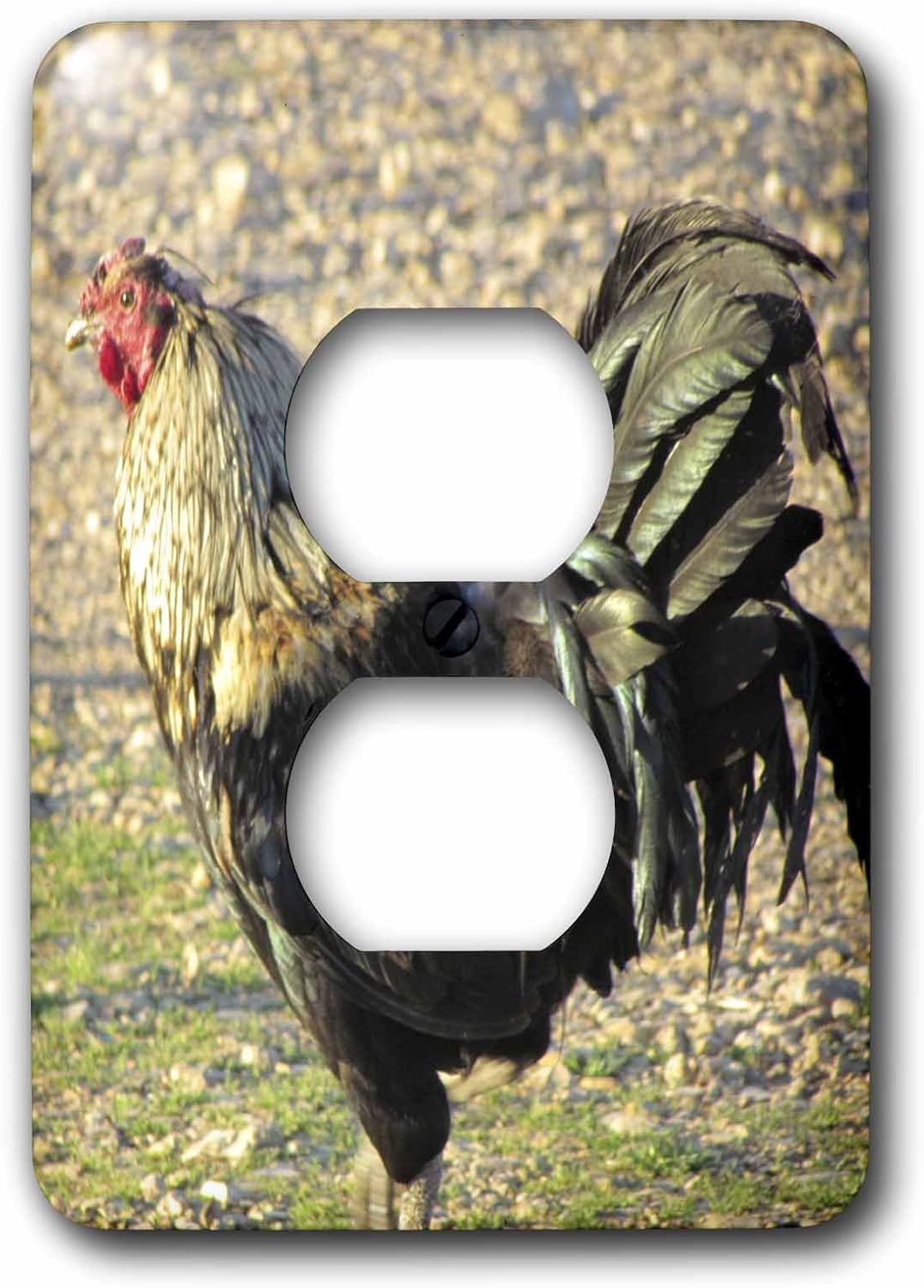 3dRose Green Tailed Rooster 2 plug outlet cover