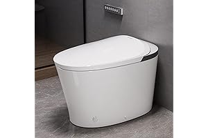 Intelligent Genie Bidet Toilet: The Ultimate Sanitary Bathroom Experience