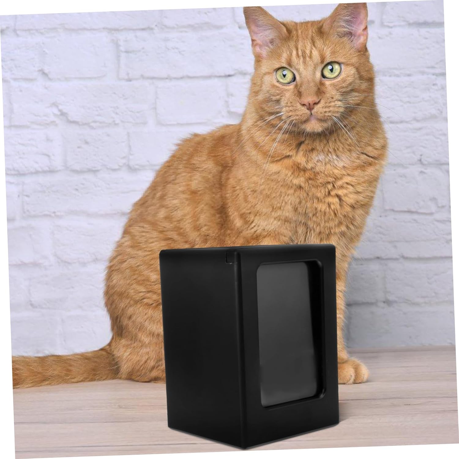 HANABASS Wooden Pet Urn for Dog and Cat Ashes Memorial Box Photo Display Solid for Pet Cremation Small Custom Engraving Option