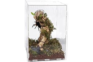 winemana Reptile Terrarium for Praying Mantises