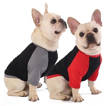 Sychien Dog Quick Dry Shirts,Summer Raglan Lightweight Blank Medium Clothes,Dogs Sun Protection Tshirts Boy Girl Solid Clothing,Black/Red + Black/Grey M