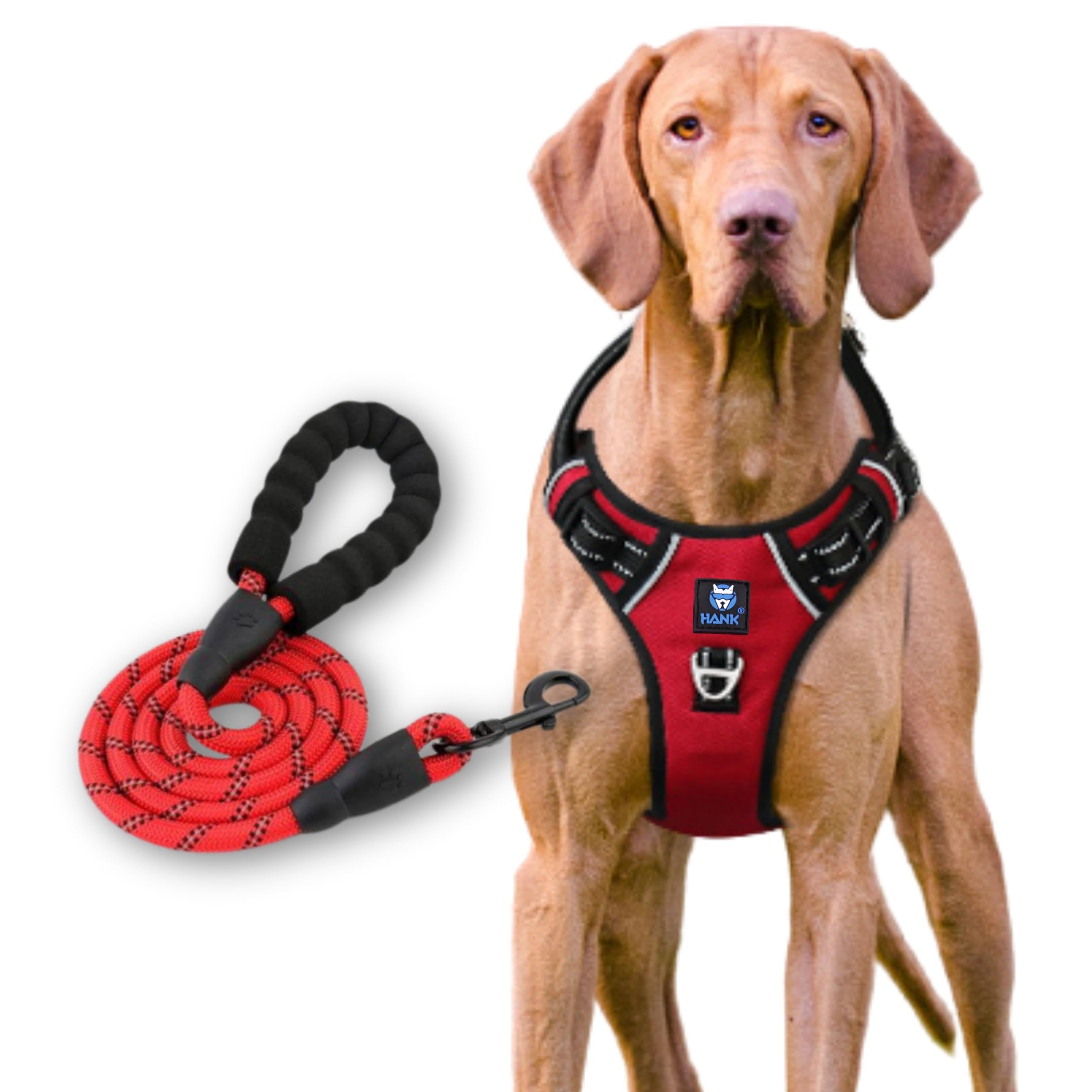 HANK Dog Harness Leash Set - Soft Comfortable Handle - Dog Vest for Small Breed - No Pull Harness - Dog Vest for Training - Walking (Red - S (Harness + Leash)