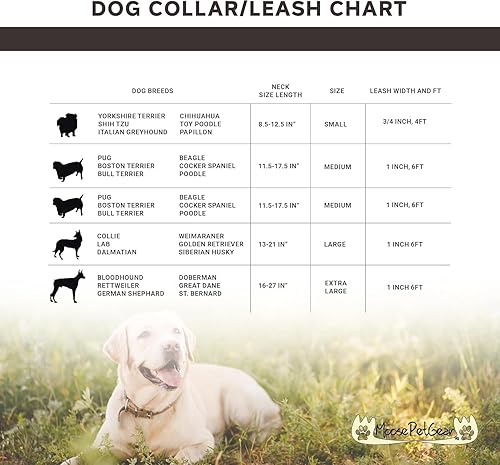 Miniatura 31 de Collar de perro con estampado de animales, impermeable, lindo collar de perro con estampado de cebra, 1 pulgada se ajusta de 11.5 a 17.5 pulgadas