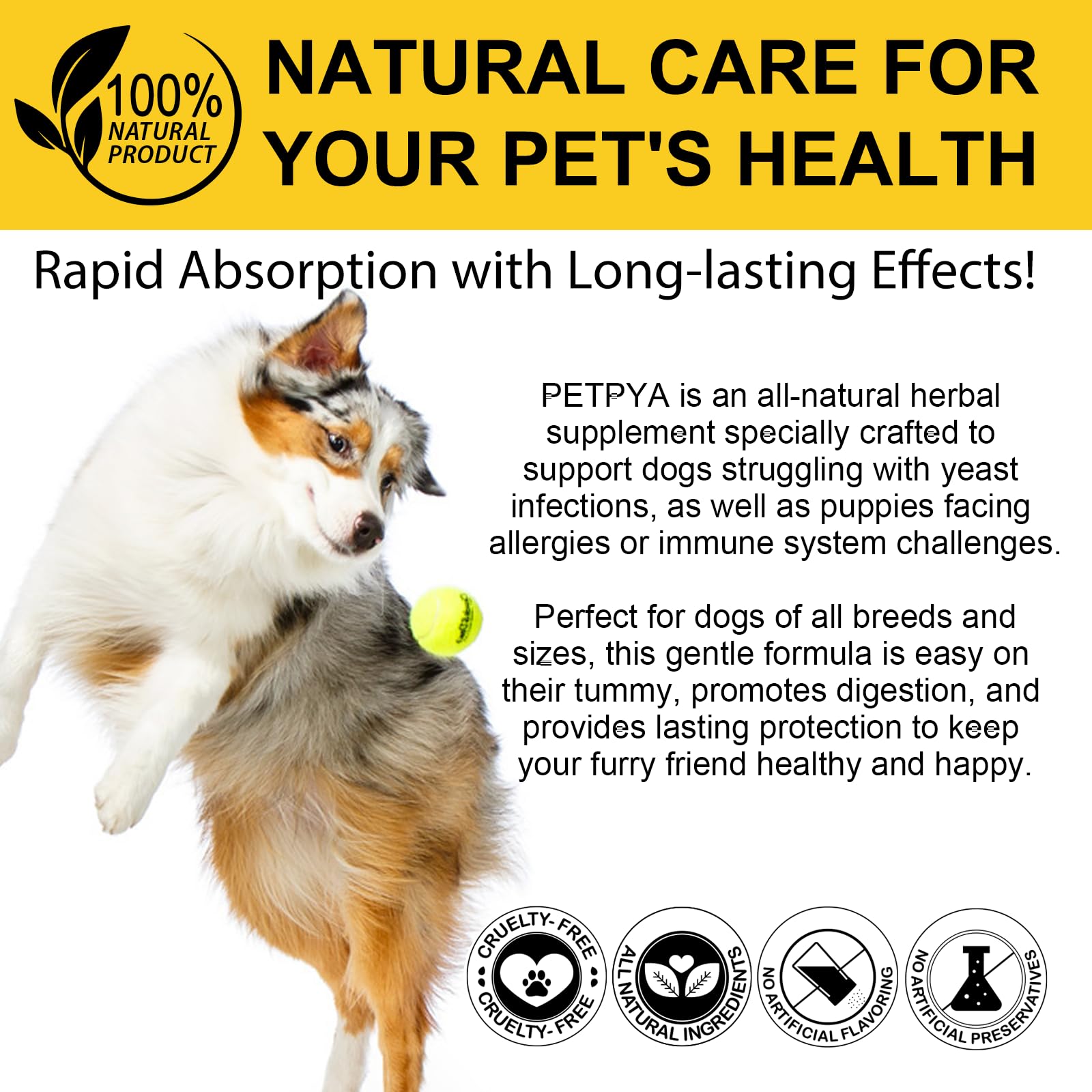 Hefe Infektion Bei Hunden, Lindert Juckende Hundehaut, Anti-Allergie, SäUre Basen Gleichgewicht Wiederherstellen, NatüRliche Inhaltsstoffe, Verbessert Die ImmunitäT 60ml