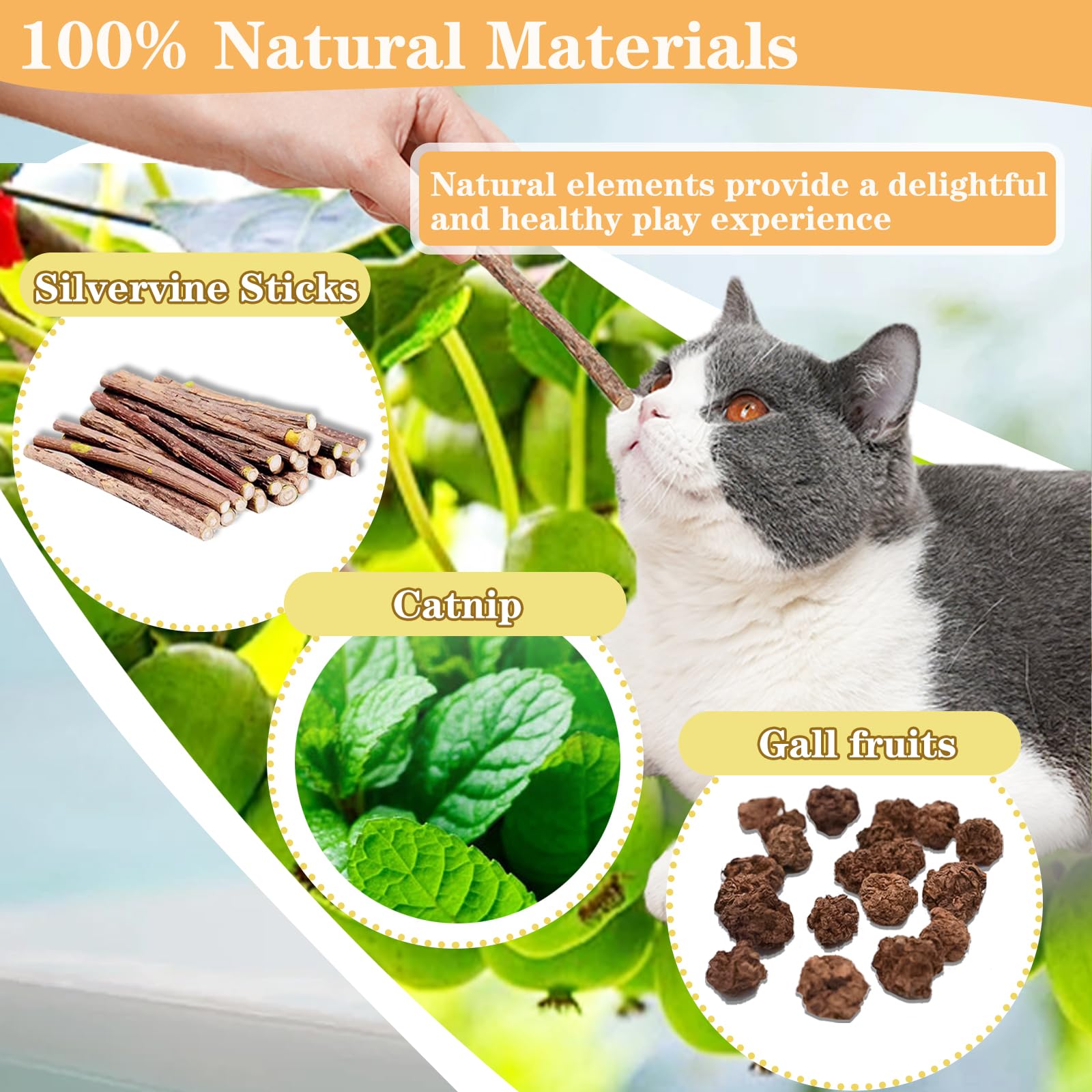 6 Bastoncini Di Erba Gatta Per Gatti - Naturali, Per Gioco E Cura Dentale, 22 Cm - Foto 5