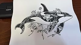 Review Image by Bill Bill