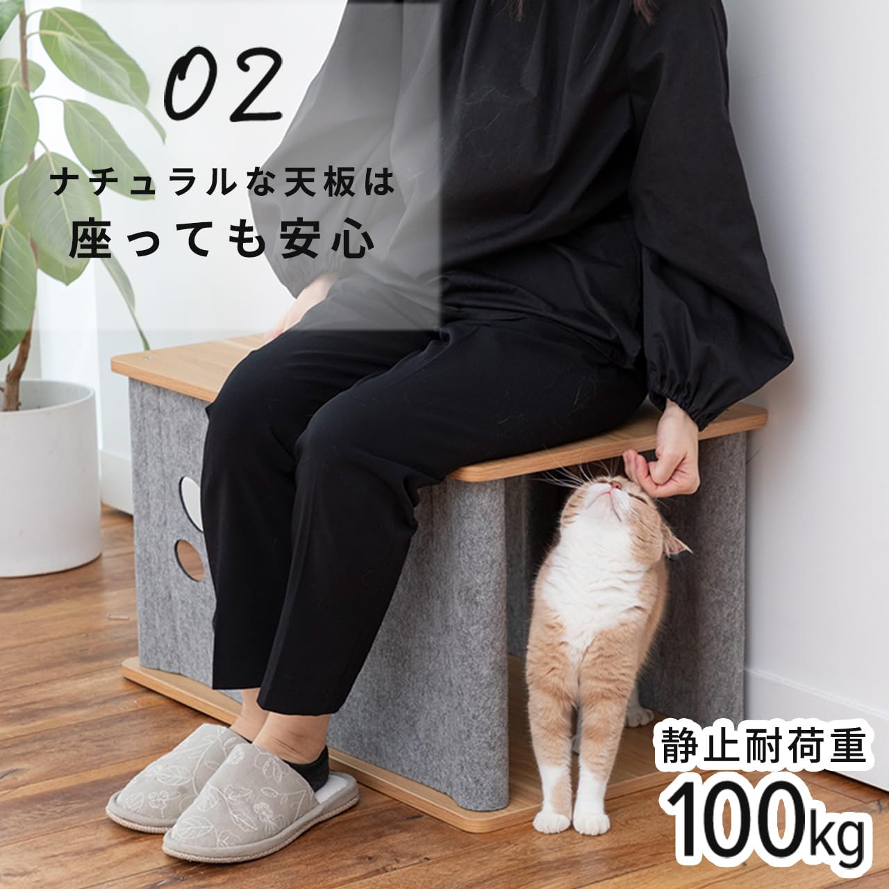 Amazon.co.jp: ペットセレクト ニャンコノイエ (トンネル & スツール