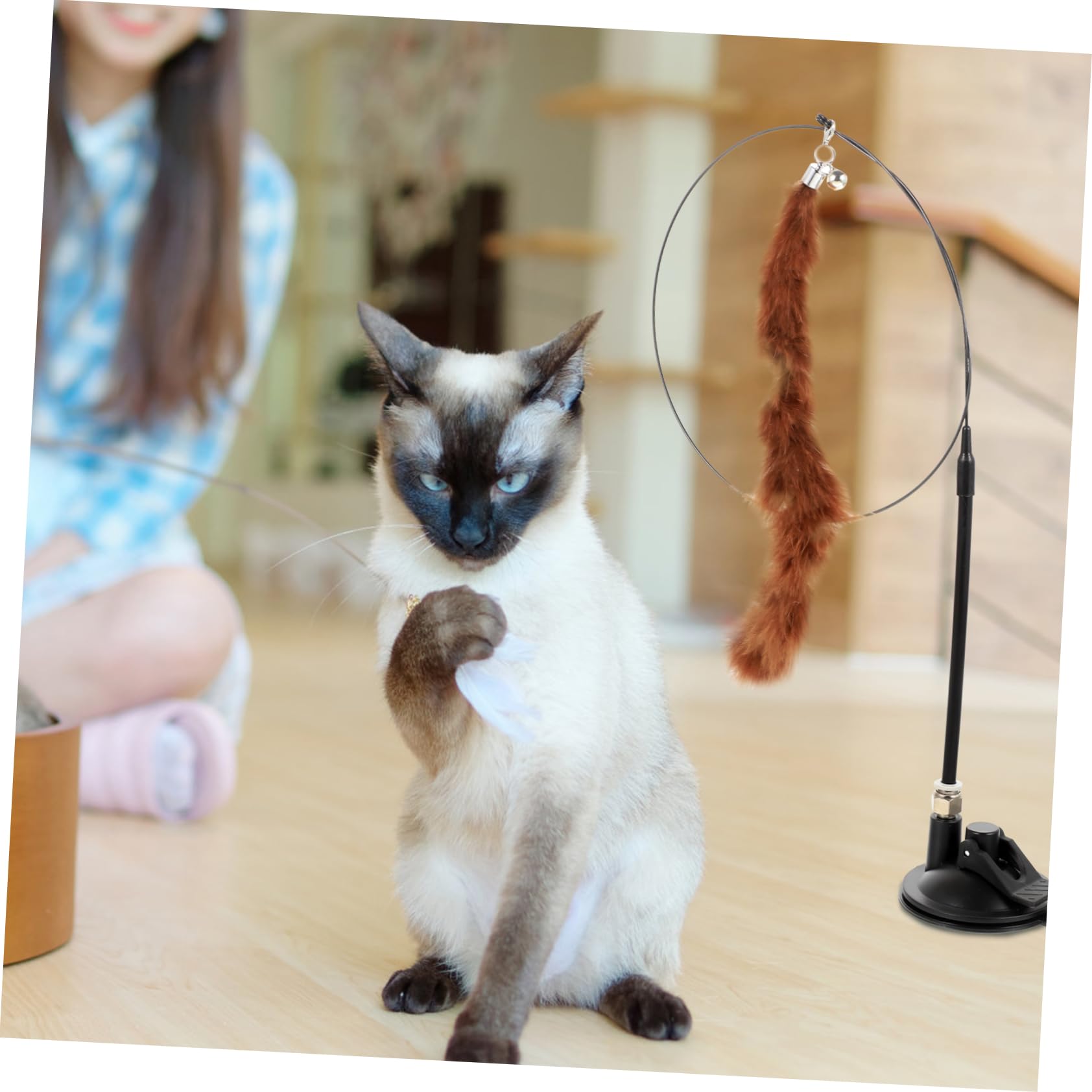 Beavorty 24stücke Teiliges Interaktives Katzenspielzeug Saugnapf Und Glocke Teaser-Sticks Für Aktives Spielen Und Selbstunterhaltung Von Katzen