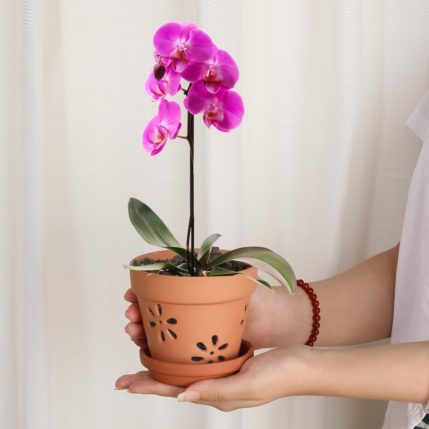 JUXYES Pack of 6 Small Terracotta Orchid Pots with Holes and Saucers, 4-Inch Clay Planter Pots for Indoor and Outdoor Use, Promotes Air Circulation