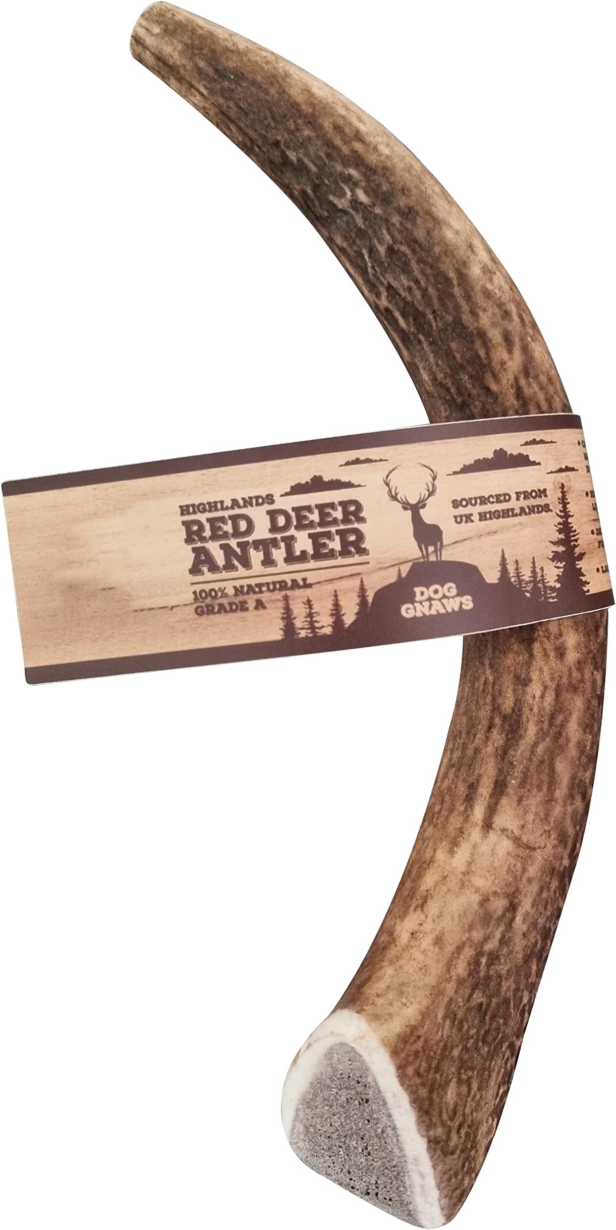 Dog gnawsDeer Antlers for Dogs – Large Dog Antler Natural Dog Treats and Chews – GradeA, Sustainable Puppy Teething Toys & Dental Sticks – Naturally-Shed Nutritious Dog Chew Toys Bones – 135g-165g