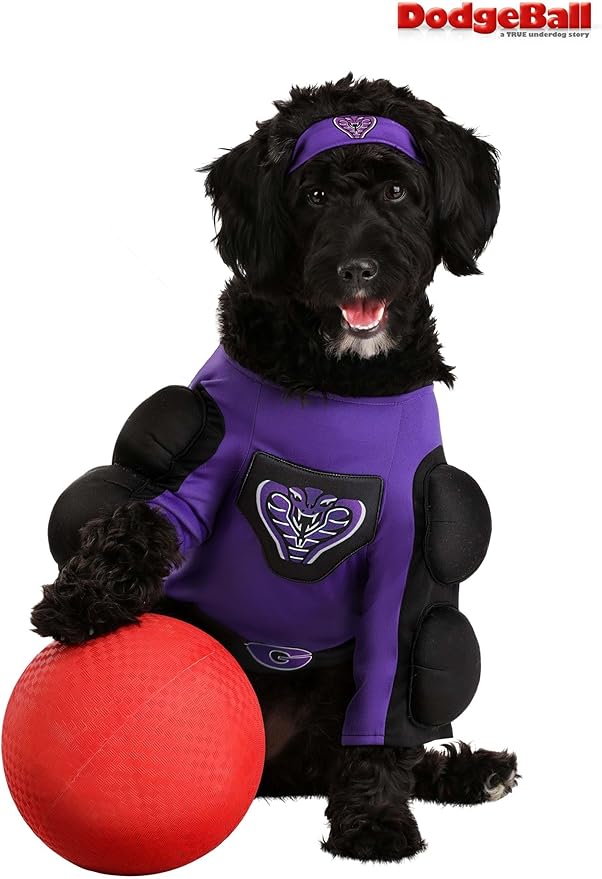 Disfraz Globo Gym Purple Cobra para Perro con Camiseta y Banda XL miniatura 4