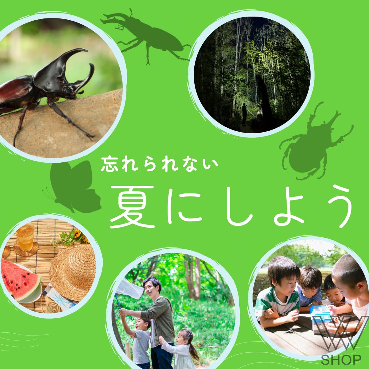 Amazon | 【昆虫 育成セット】7点セット〈虫かご 虫取り網 昆虫ゼリー