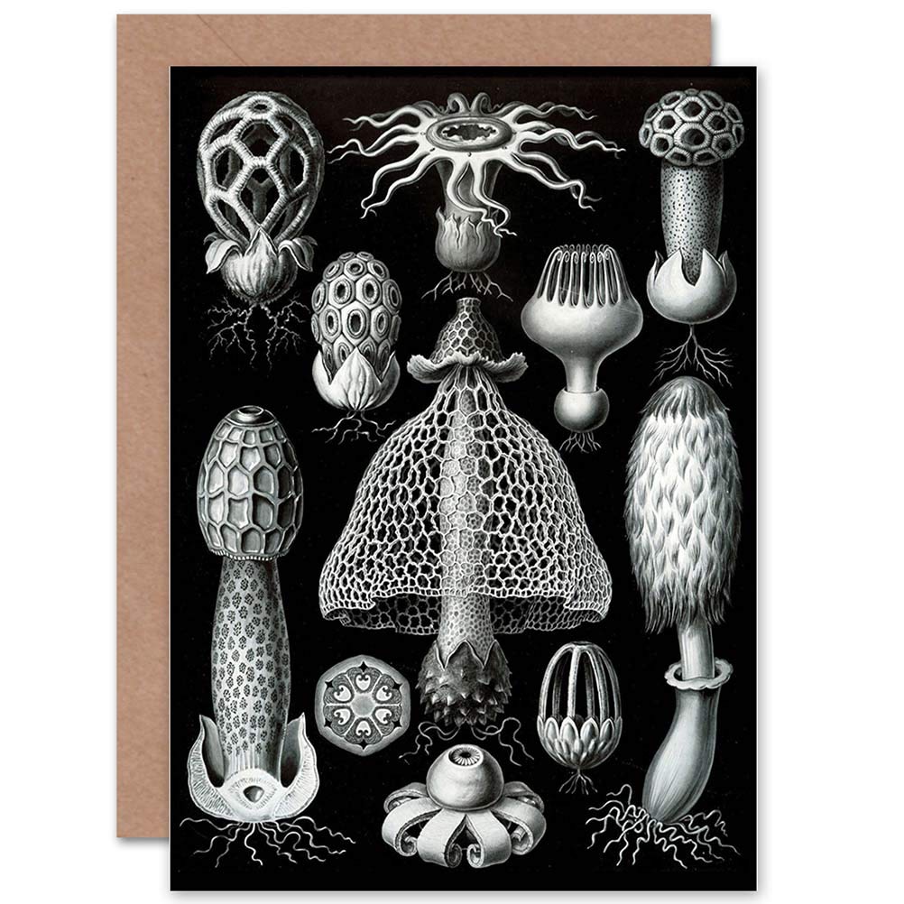 Wee Blue Coo NATURE ERNST HAECKEL FUNGUS MUSHROOM TOADSTOOL BIOLOGY GREETINGS CARD