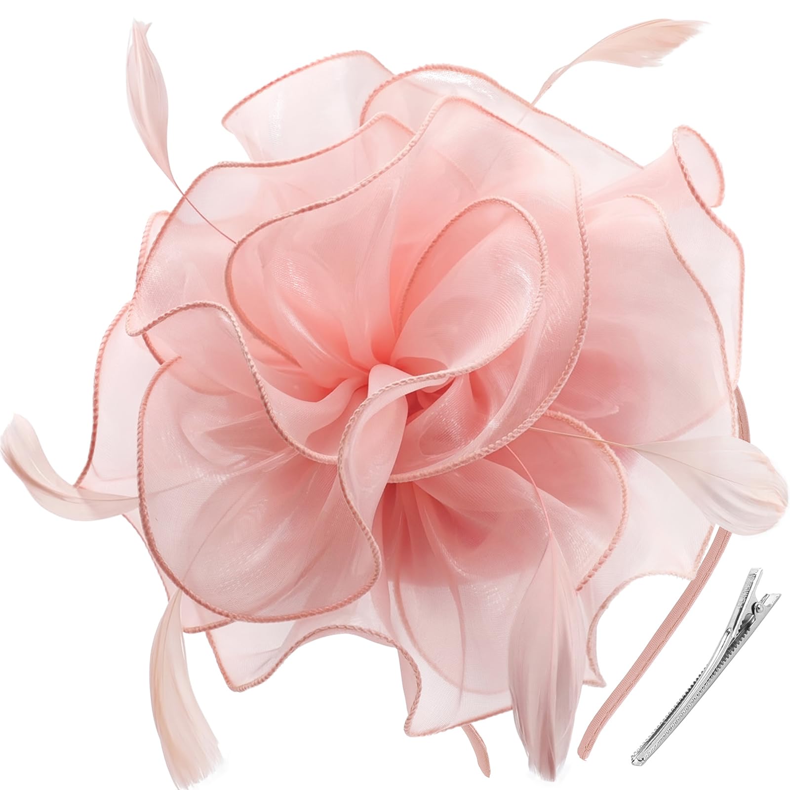 DRESHOW Fascinators Hat Tea Party Headwear Ribbons Feathers on a Headband and a Clip for Women