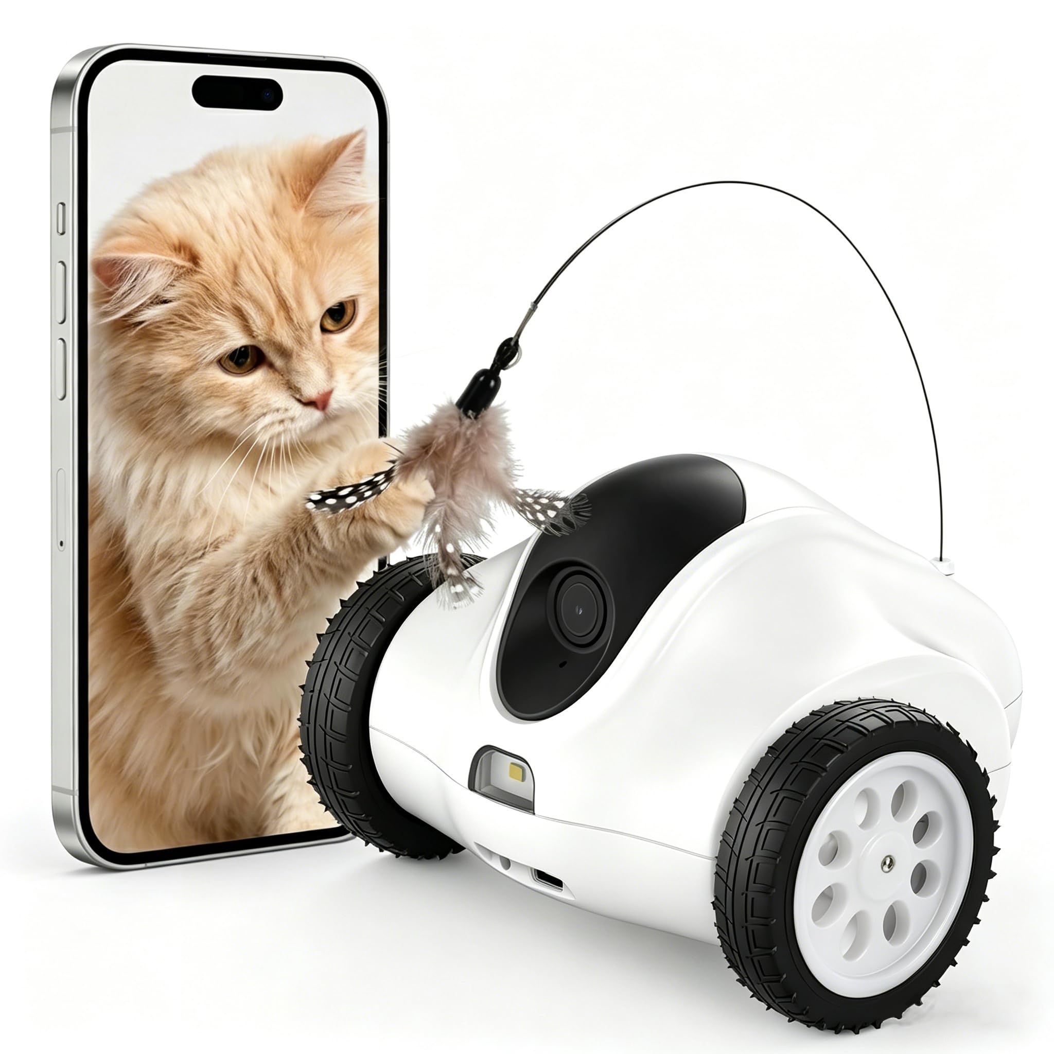MoraRise 360° Cat Camera w/App (No Review – Best Budget Option?