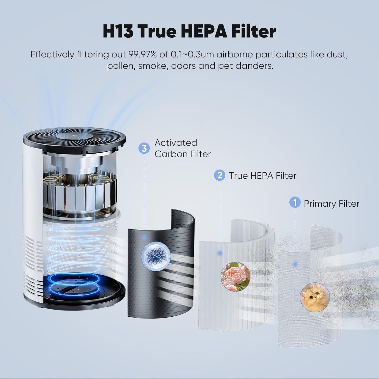 Images showing various pollutants removed by the air purifier