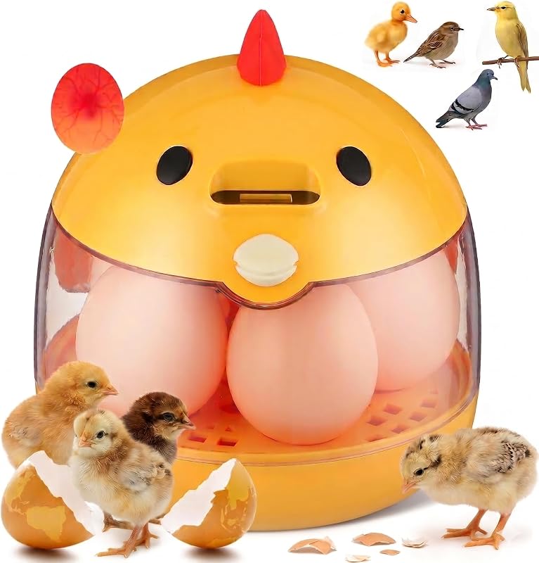 Abaodam Incubators for Hatching Eggs, Small Chicken Egg Incubator with Automatic Temperature Control & 360° View, Portable Type-C Hatcher for Quail, Parrot, Duck, Poultry, Ideal for Kids Science