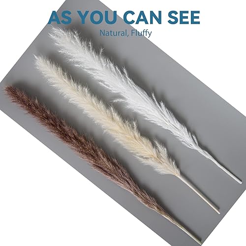 Miniatura 6 de XYHZLL Pampa Grass - Florero pequeño esponjoso, 70 piezas de flores secas de hierba pomposa, flores de pompas para decoración bohemia, rústico,