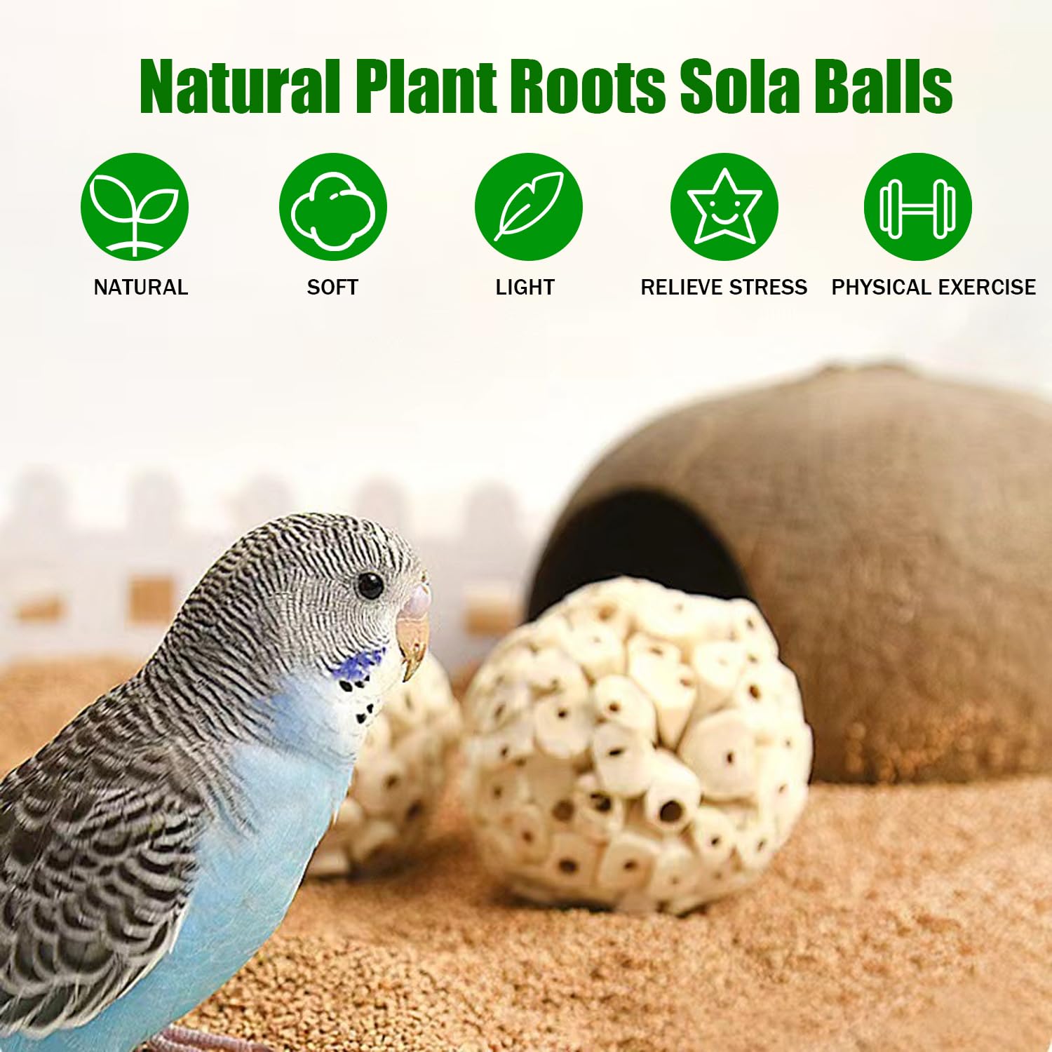Lot de 12 balles à mâcher pour perroquet naturel - Jouet à mâcher pour calopsitte, conure, perruche, lapin, cochon d'Inde, chinchilla, lapin