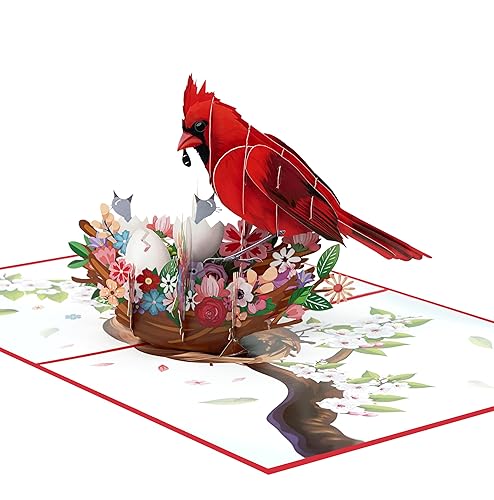 iGifts And Cards