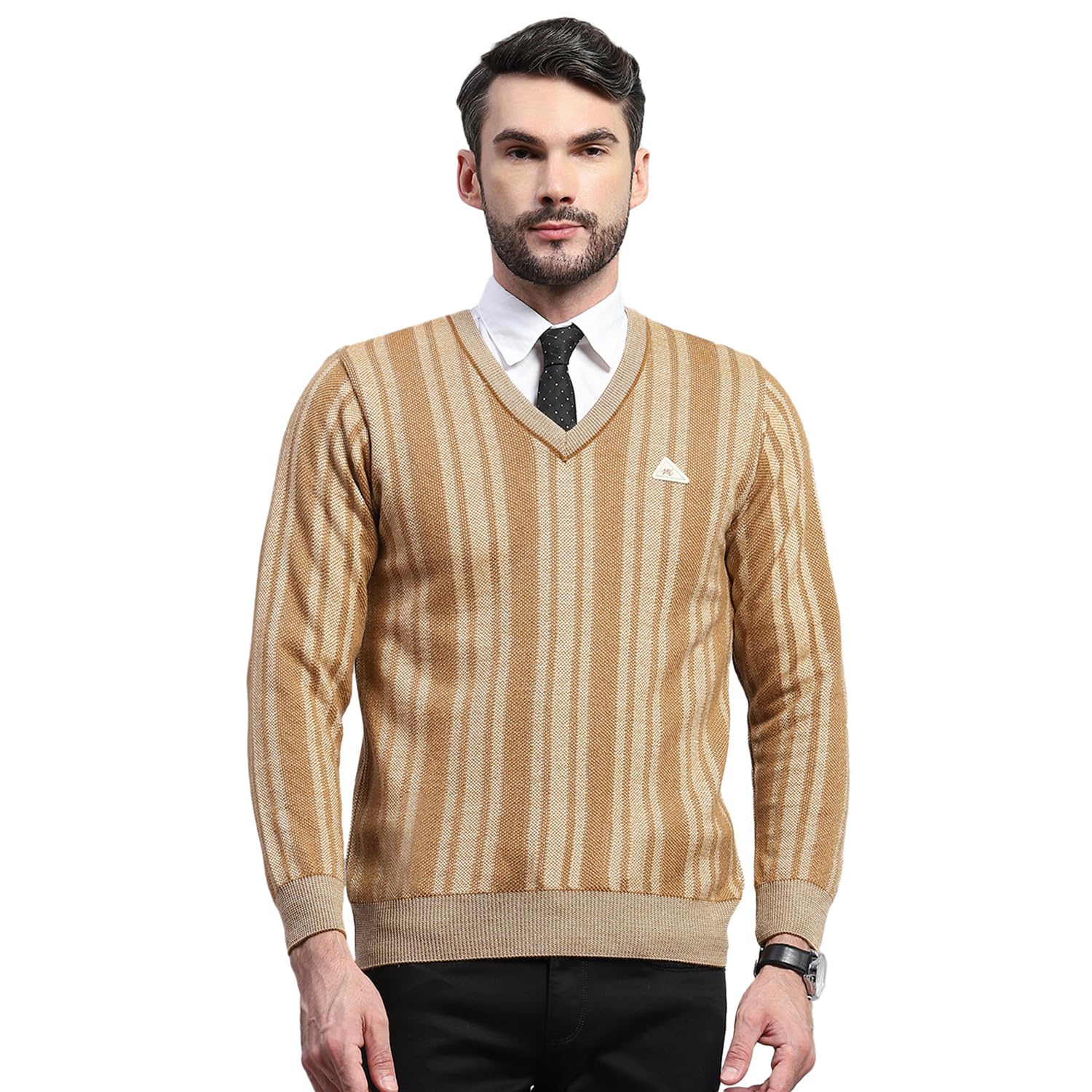 Mens Striped V Neck Full Sleeve Pullover Sweater (1243196VN)