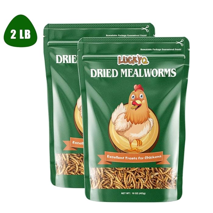 Buy LUCKYQ Chicken Feed, HighProtein Dried Mealworms 2Lbs, 100 Non