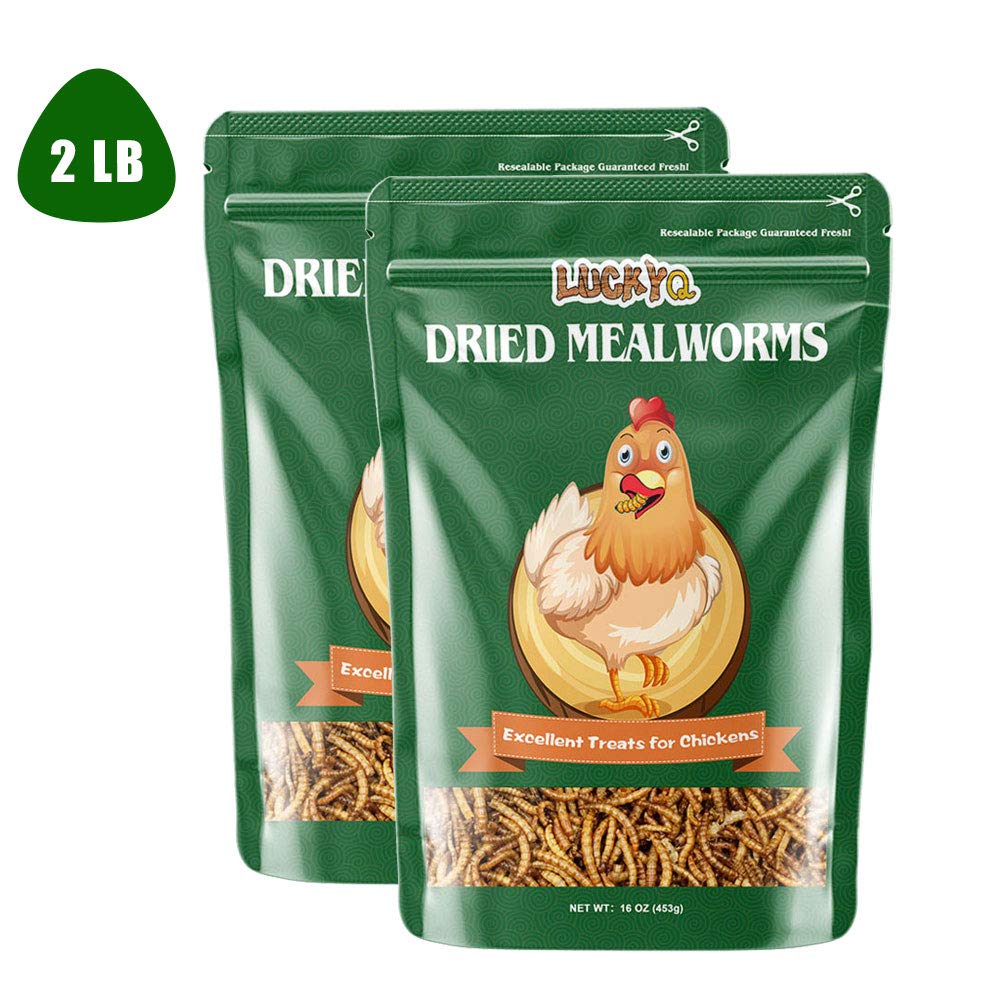 Buy LUCKYQ Chicken Feed, HighProtein Dried Mealworms 2Lbs, 100 Non