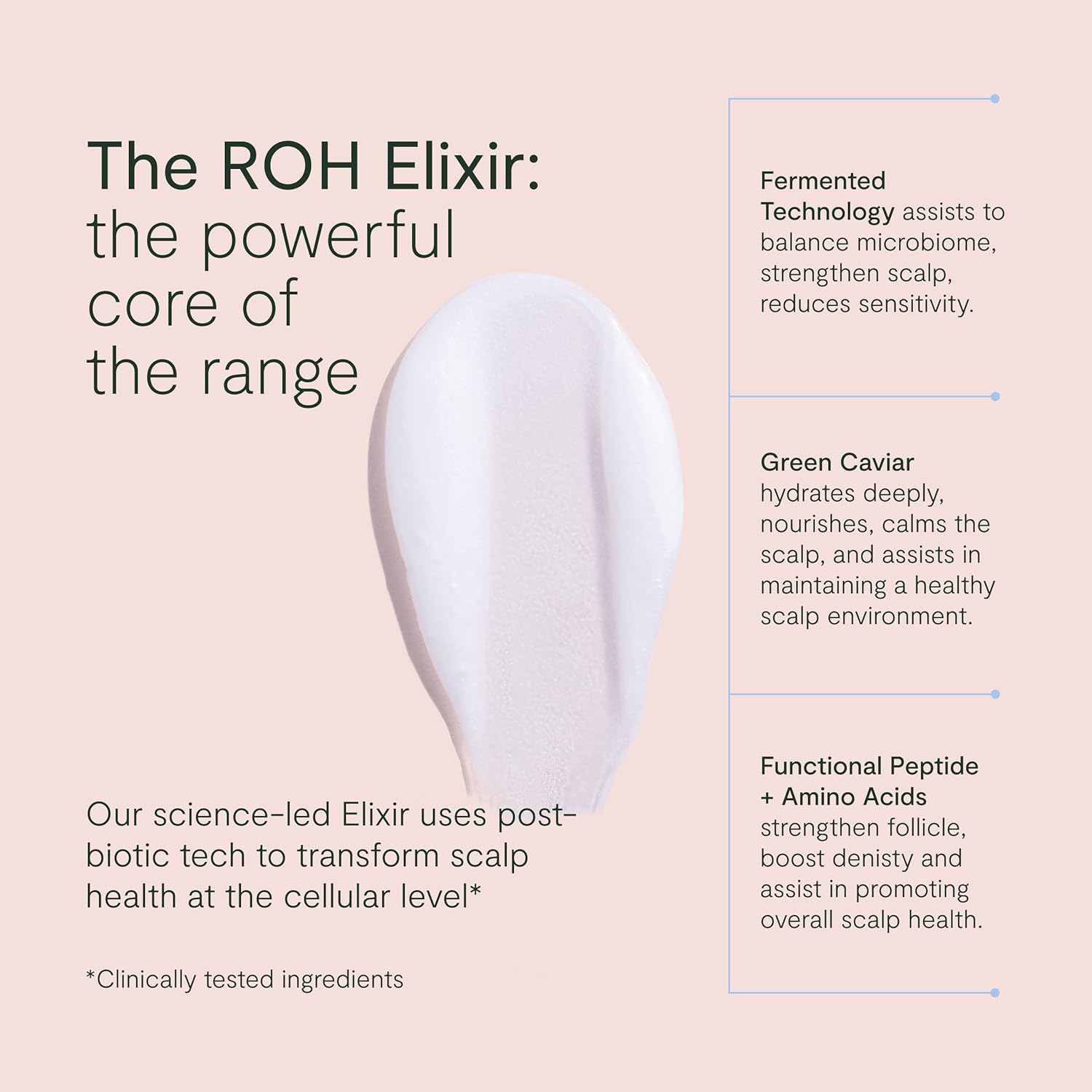 ROH Purify & Plump Shampoo 350ml - Volumizing Hair Shampoo - Image 3