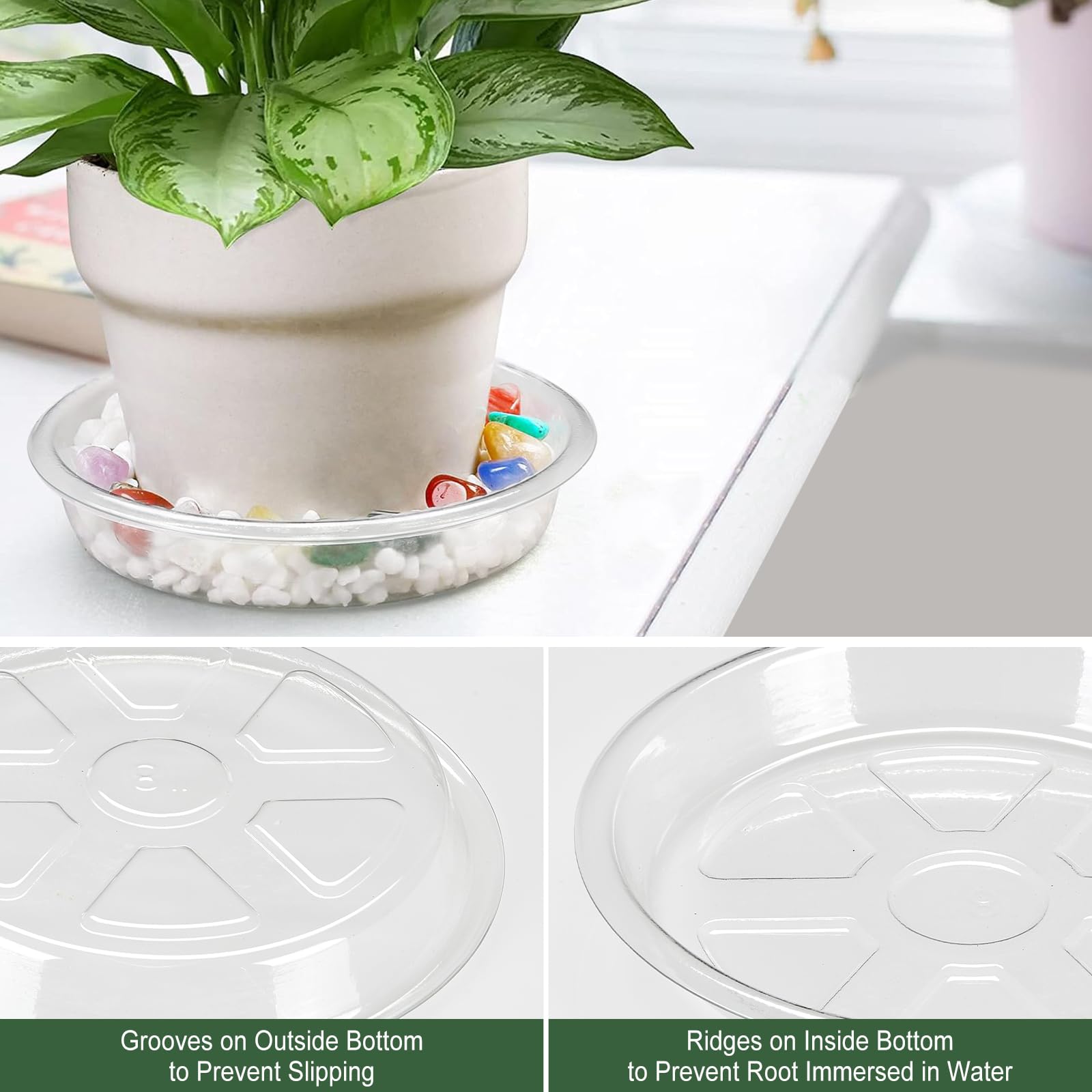 marble queen pothos plant care Marble Queen Pothos For Sale, Care Guide & Growing Tips main image 0
