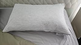 Review Image by AgentFrances