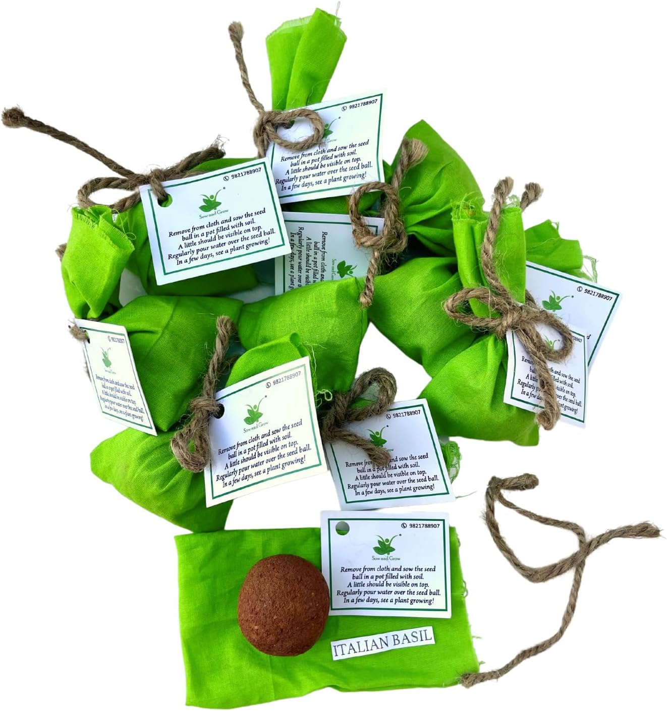 Seed Balls of Italian Basil Herb | Set of 10 Individually Packed Beej Balls | Green Gifting