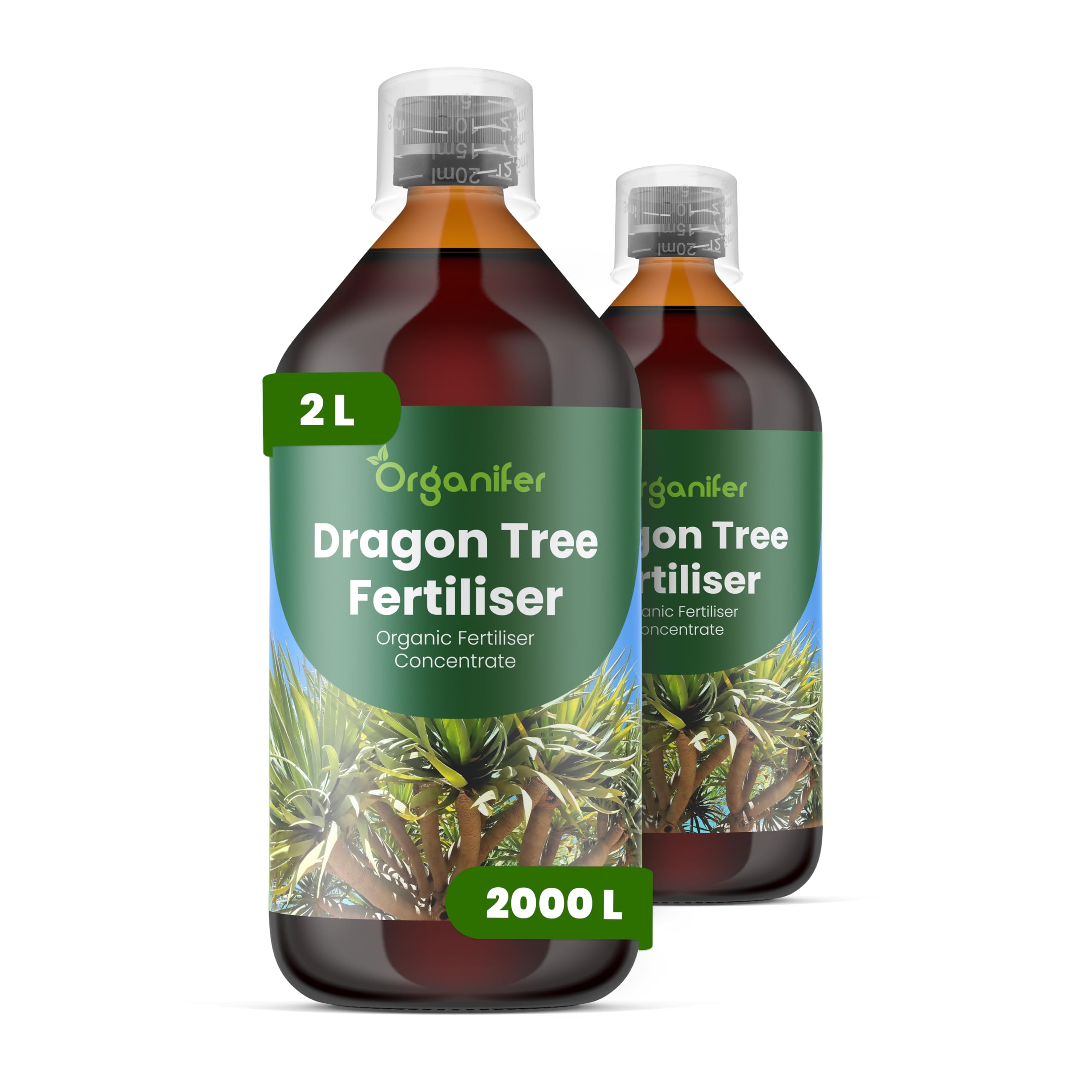 Fertilizante Líquido - 2x1L - Para Dracaena - NPK 2-1-8 | Plantas Sanas Y Hojas Vigorosas - Organifer