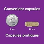 Webber Naturals Supplément de fer doux 28 mg, forme de fer hautement biodisponible, 150 gélules, amical pour l'estomac, non constipant, aide à prévenir l'anémie ferriprive