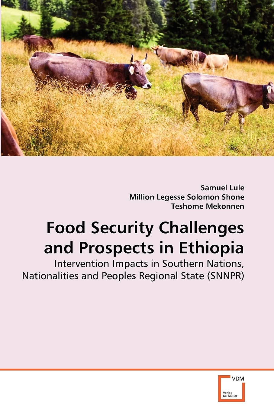 Food Security Challenges and Prospects in Ethiopia: Intervention Impacts in Southern Nations, Nationalities and Peoples Regional State (SNNPR)