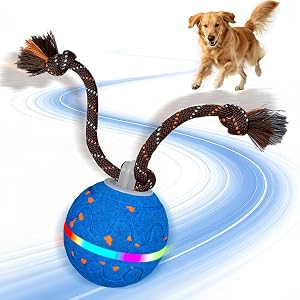 Interactive Dog Toys, 2 Smart Modes Automatic Rolling Ball, Motion Activated Self Moving Dog Ball with Rope, LED Lights & Bird Chirping, USB-C Rechargeable for Small to Large Dogs (Blue)