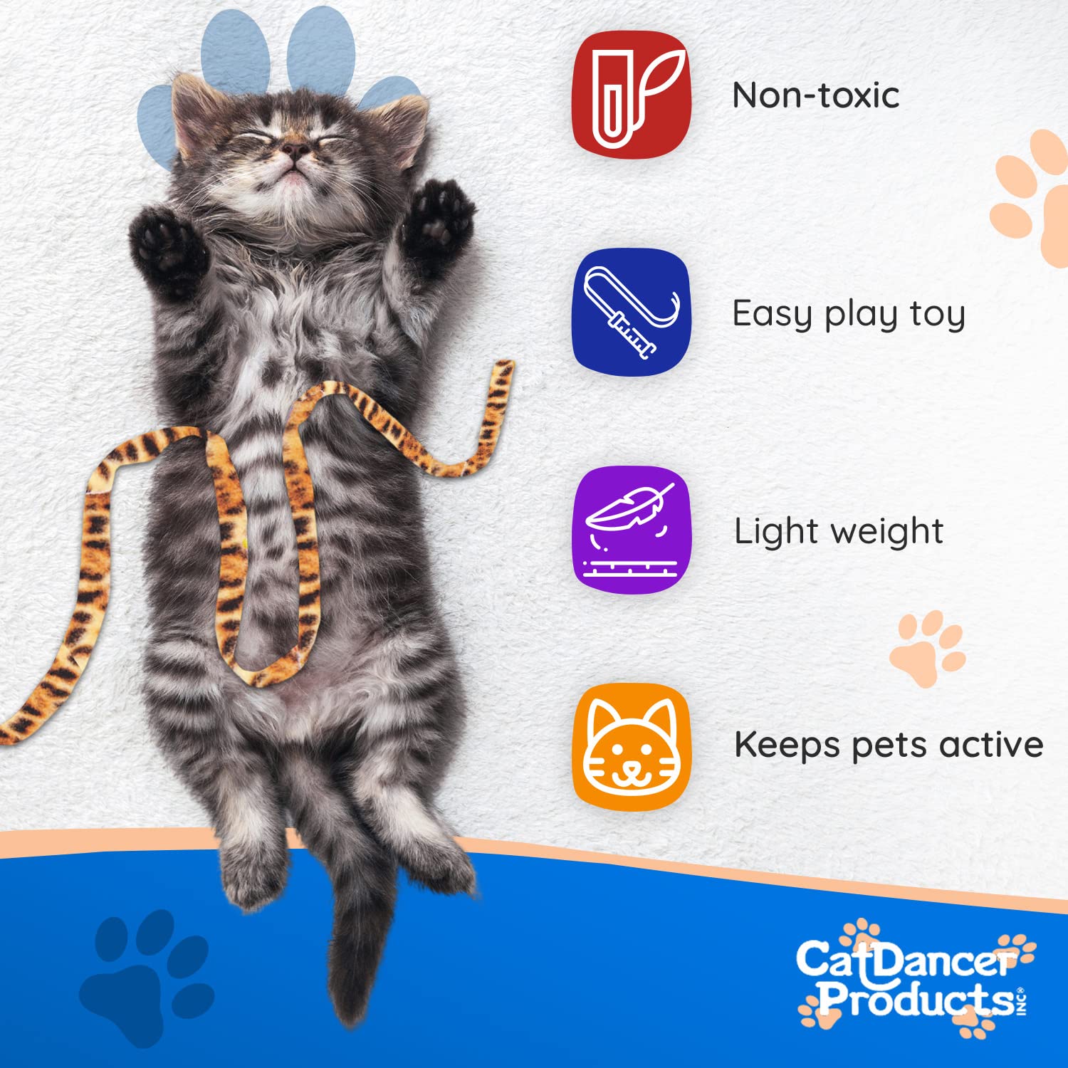 Cat Dancer Toy Petsmart Cat Dancer Toy Amazon New Arrivals