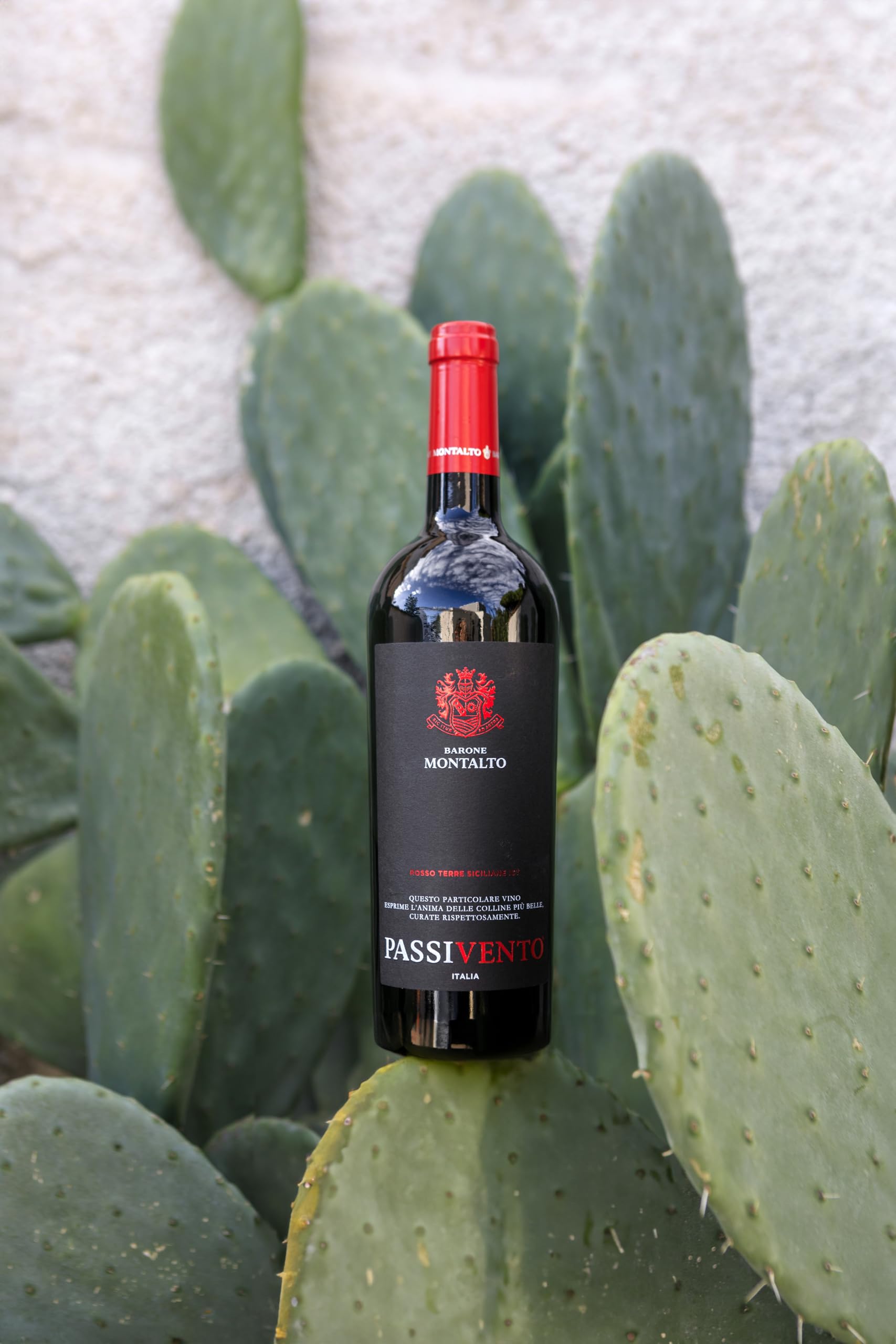 Passivento Rosso Terre Siciliane IGT, Bottiglia 750 ml, Alcol 14% (Confezione da 6)