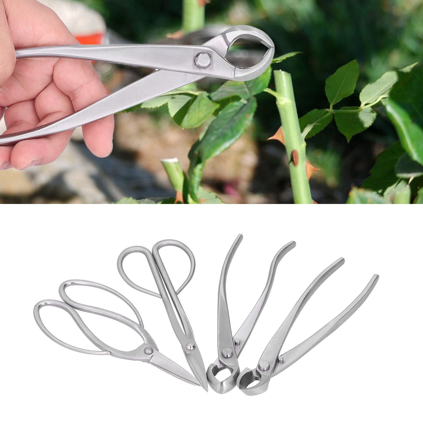 Set di attrezzi per bonsai Kit di forbici per cesoie da potatura in acciaio inossidabile per il giardinaggio