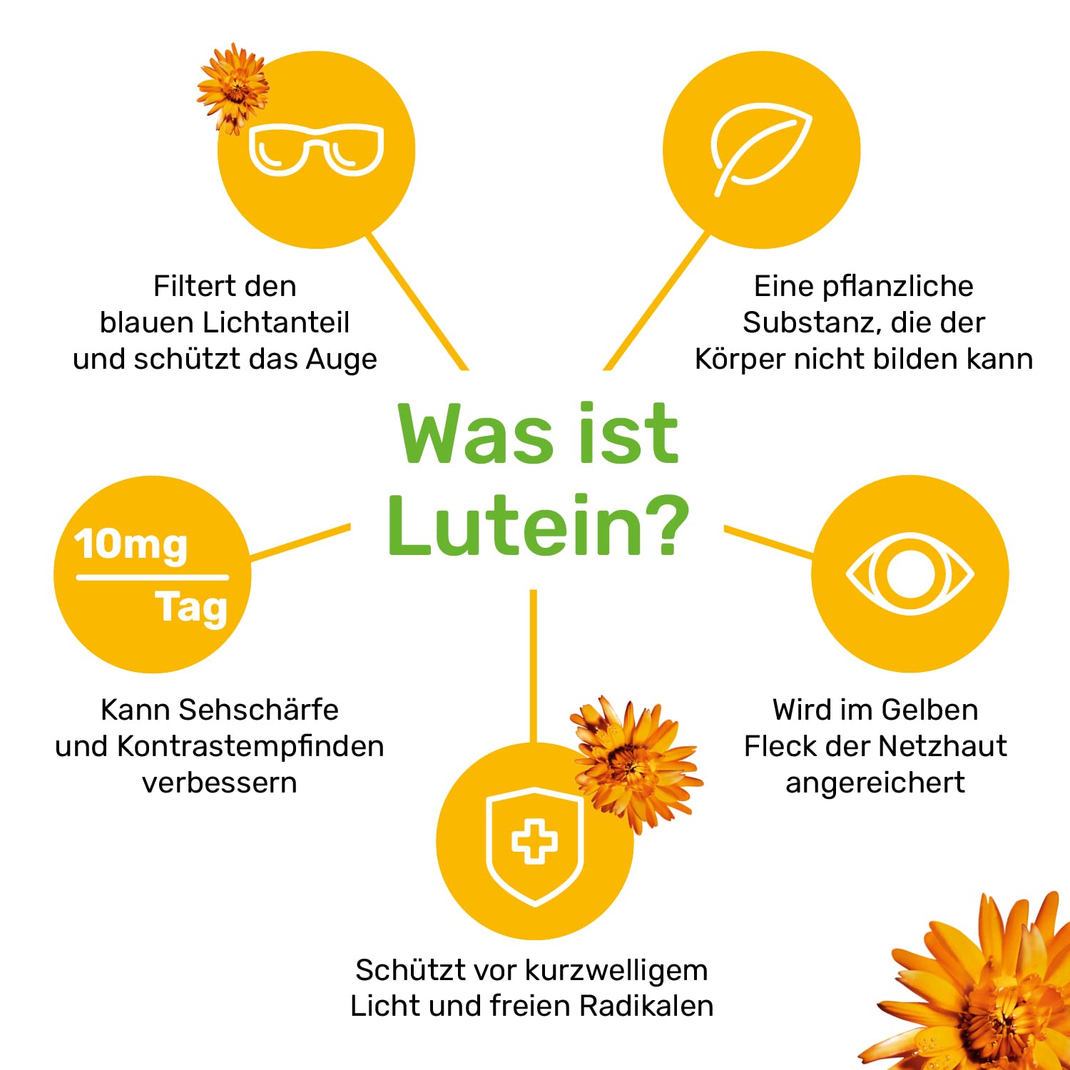 Lutamax AREDS 2 – 60 Kapseln | Lutein & Zeaxanthin | Augenvitamine bei AMD und altersbedingten Augenproblemen | 1-Monats-Pack