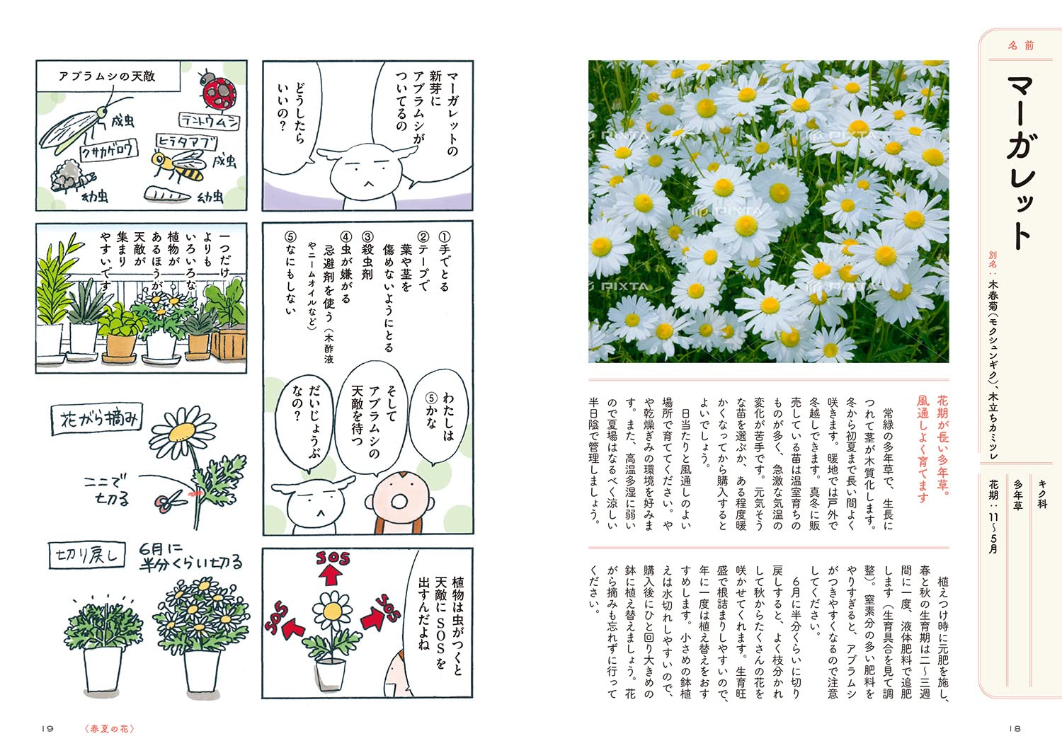 花を育ててみたいのですが 枯らさないコツ 花屋が教えます 花福 こざる 本 通販 Amazon
