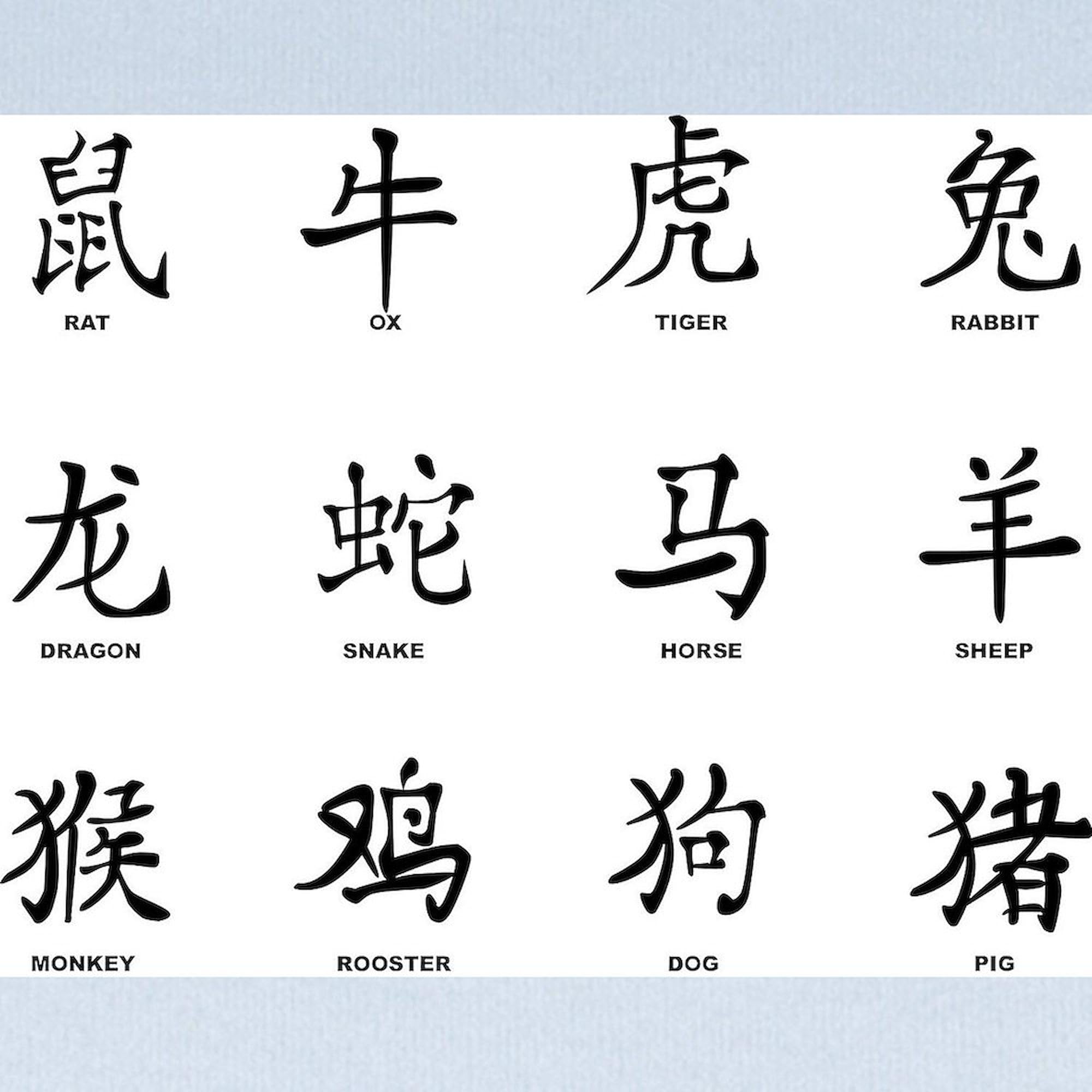 CafePress Chinese New Year Baby Blanket, Super Soft Newborn Swaddle