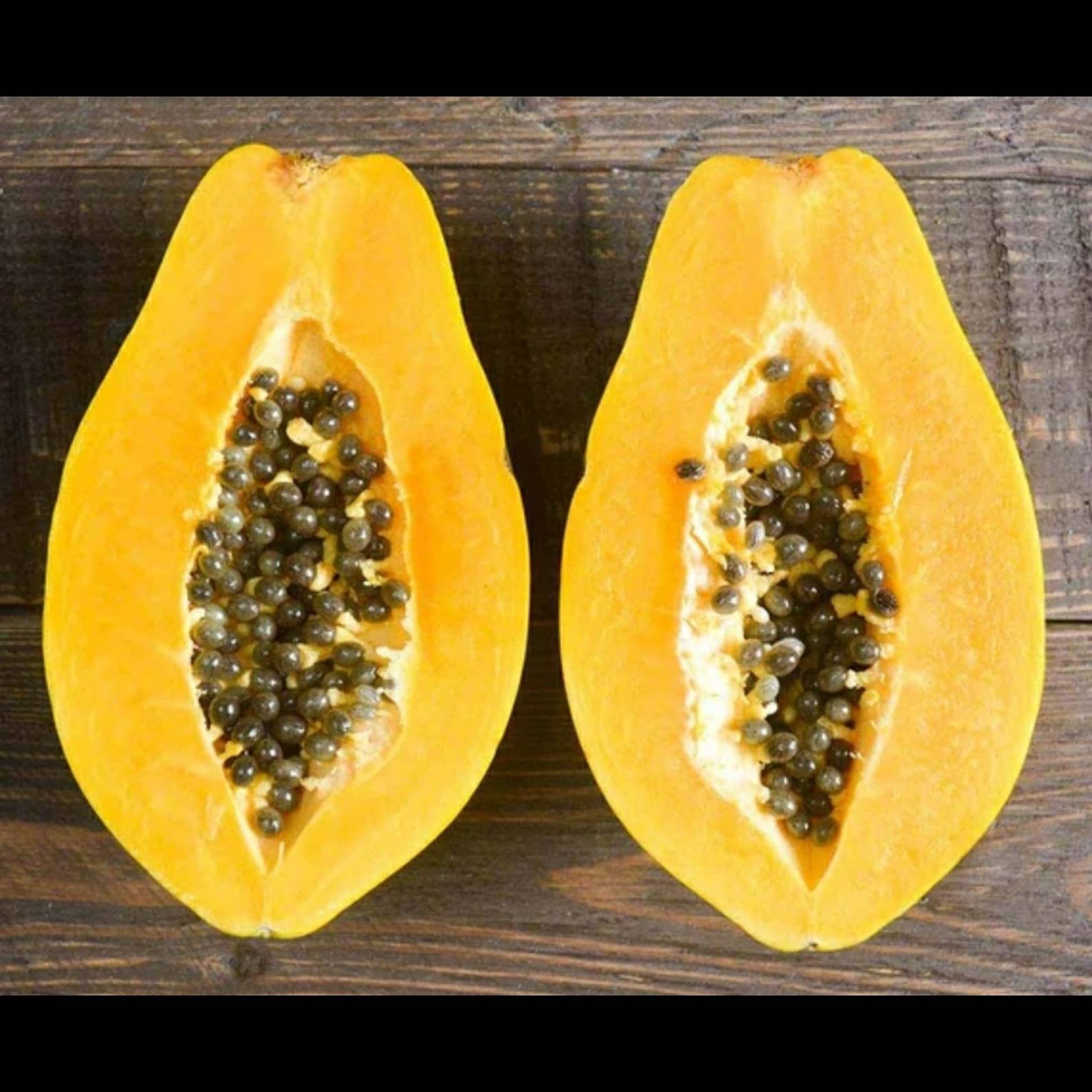 M-Technologies Rare Papaya " Sunrise " Exotic 15 Fruit Seeds for Growing