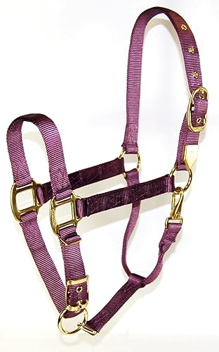 Hamilton Halter de nailon de 1 pulgada con barbilla ajustable, color ciruela, tamaño promedio (800-1100 libras)