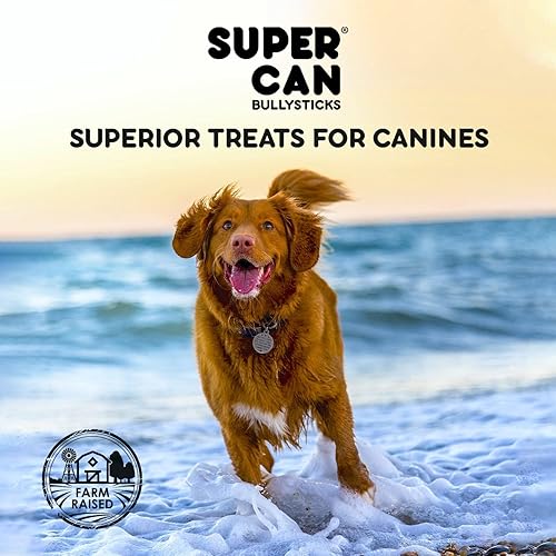 Miniatura 2 de SUPER CAN BULLYSTICKS Supercan Beef Gullet Sticks para perros, 12 pulgadas (4 unidades)  Masticables naturales de carne seca  Rico en glucosamina
