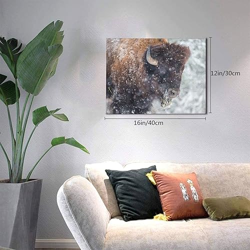 Miniatura 5 de Lienzo de bisonte o búfalo americano descansando en una tormenta de nieve, arte de galería de arte para pared, decoración de pared para dormitorio,