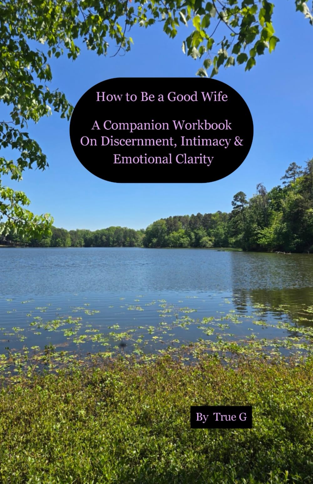 How to Be a Good Wife Companion Workbook Discernment, Intimacy & Emotional Clarity: How to Be a Good Wife Companion Discernment, Intimacy & Emotional Clarity Journal