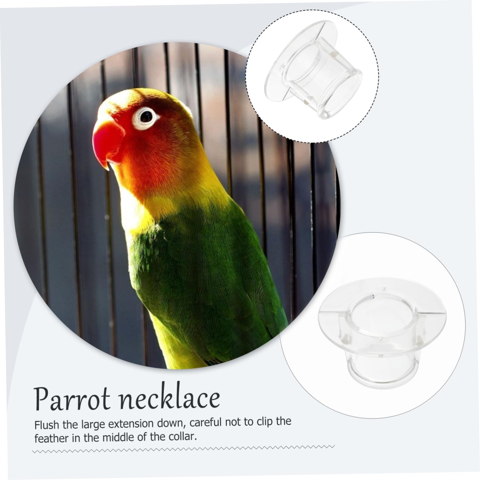 Sosoport 10piezas Collar para y Aves Anti-mordida Restricción De para Periquitos y
