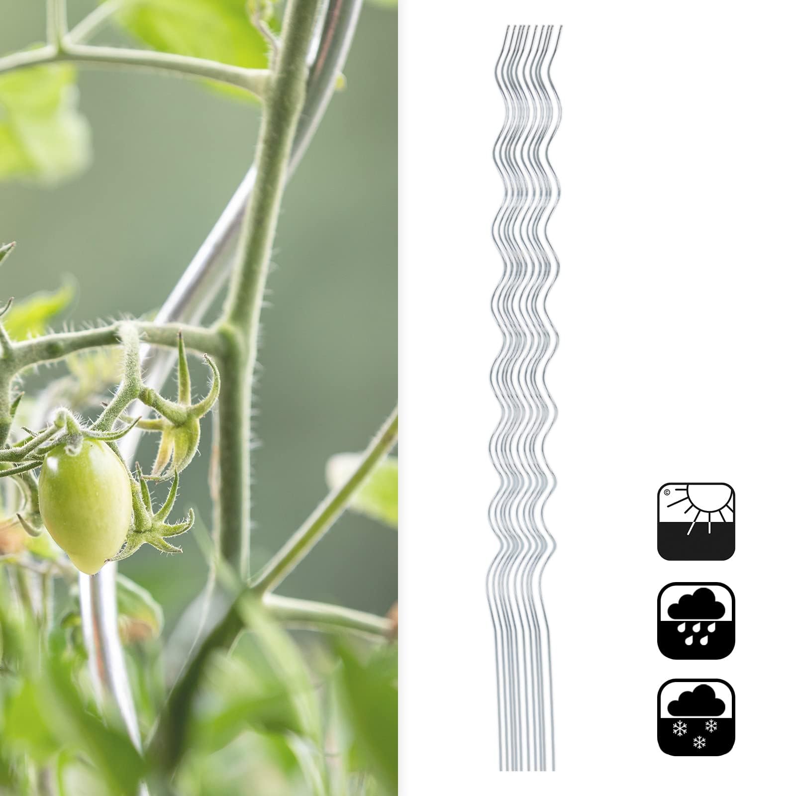 KARAT Tomatenspiralstäbe - 180 cm Länge - 10 Stück - Tomatenstab - Spiralstab - Rankstab - Tomaten Rankhilfe - Pflanzstab aus verzinktem Stahl